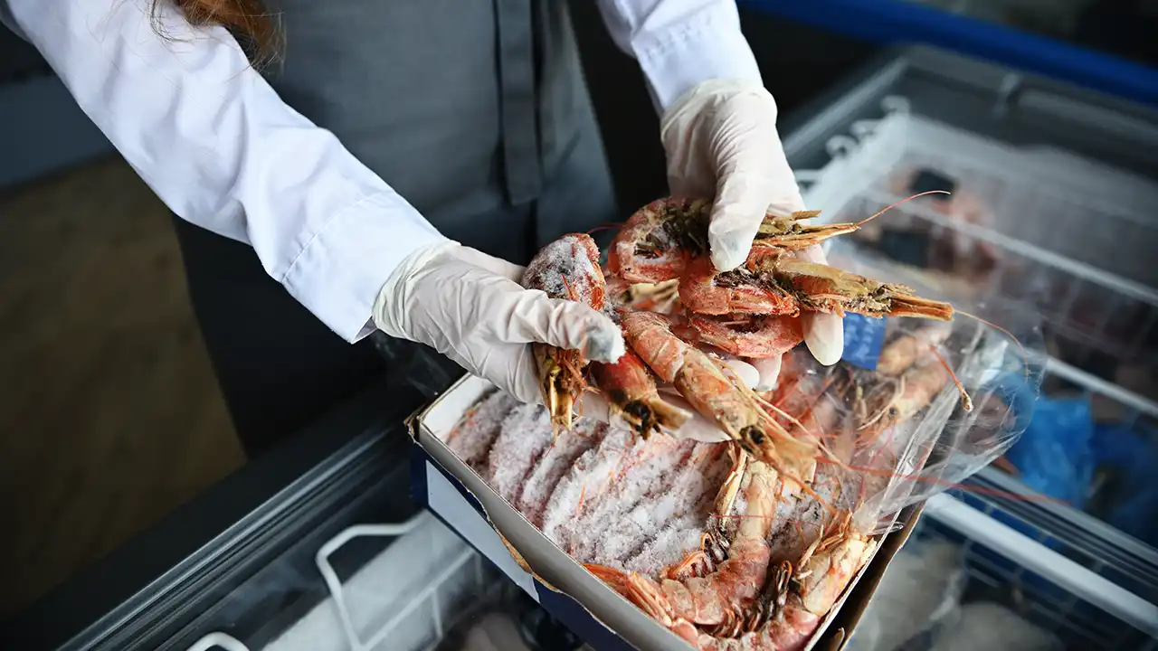 cámara frigorífica para mariscos cámara frigorífica para mariscos