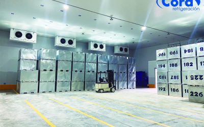 Cuartos fríos en Ecuador: requisitos técnicos para pesca y exportación